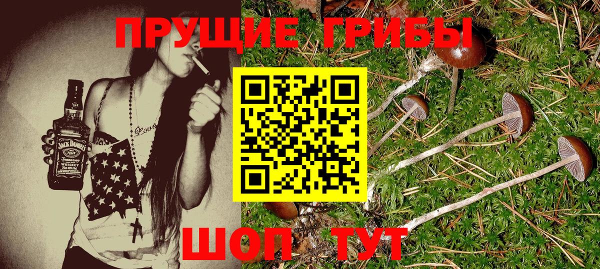 Галлюциногенные грибы мухоморы Саратов