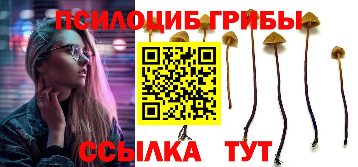 Саратов  Галлюциногенные грибы ЛСД  Вход с VPN  дарнет шоп  Псилоцибиновые грибы GOLDEN TEACHER 